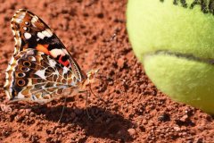 Tennis-Aesth-110-Admiral